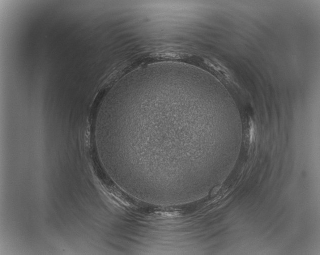 X0000072950552200608041310