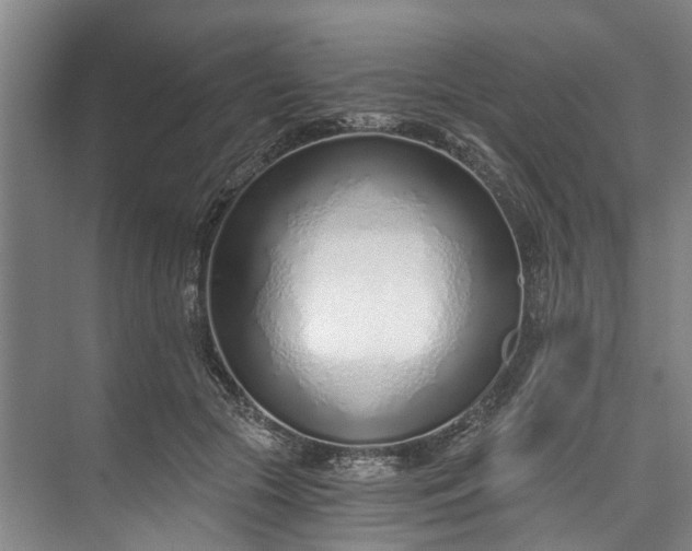 X0000072950553200608041310