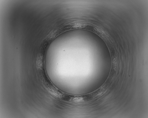 X0000072950554200608041310