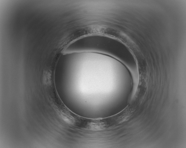 X0000072950556200608041310