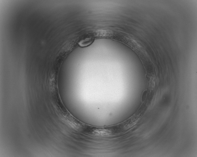 X0000072950557200608041310