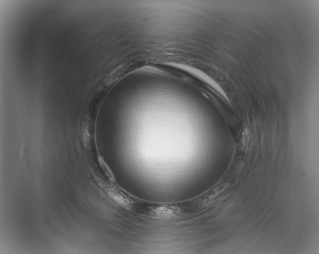 X0000072950566200608041311