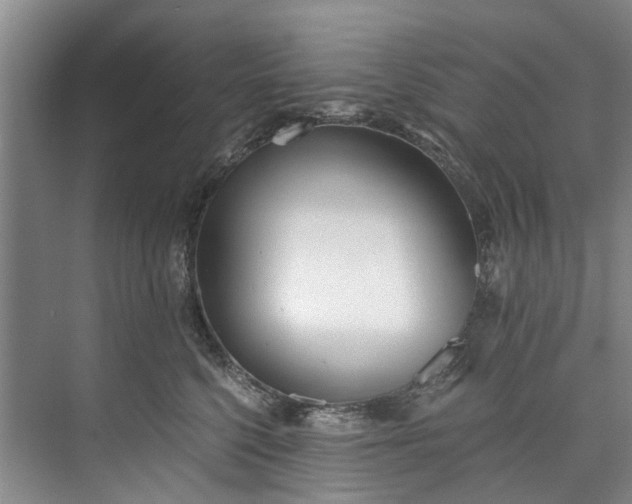 X0000072950568200608041311