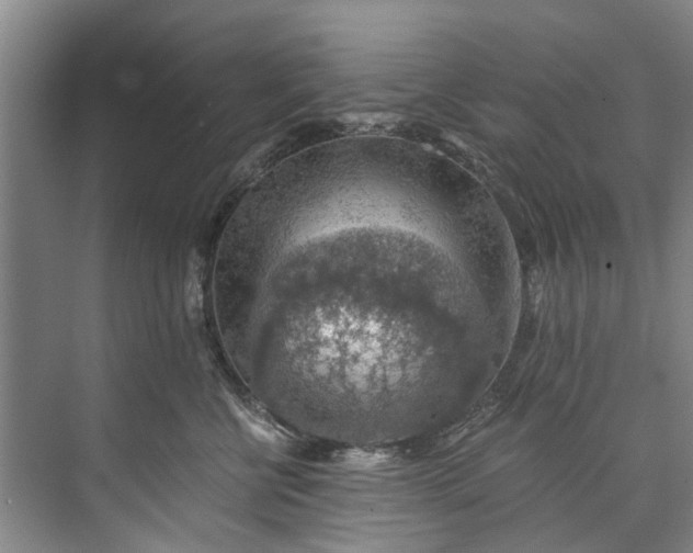 X0000072950570200608041311