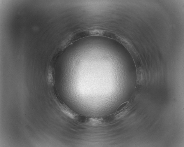 X0000072950573200608041311