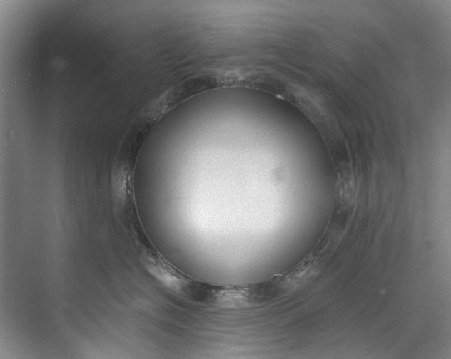 X0000072950574200608041311