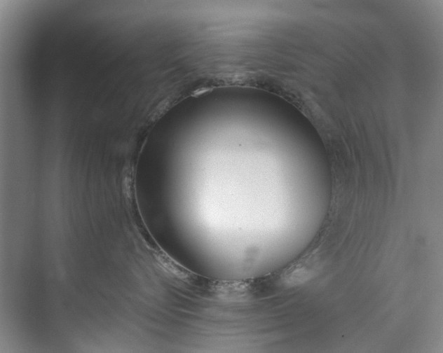 X0000072950576200608041311