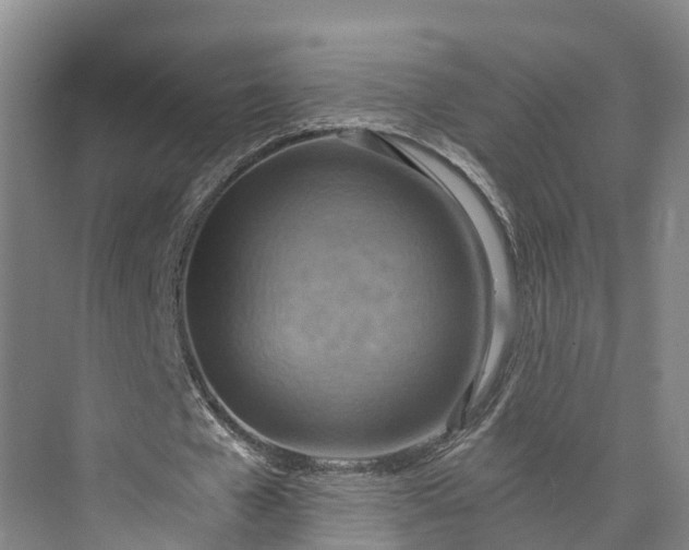 X0000072950577200608041310