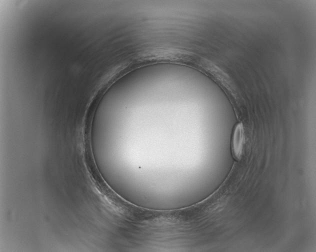 X0000072950578200608041310