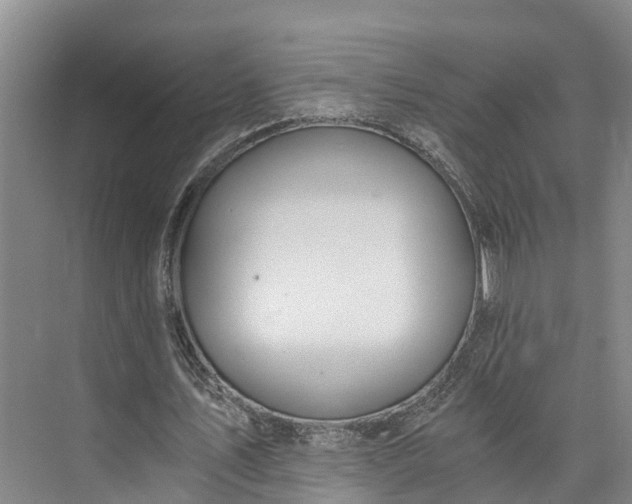 X0000072950579200608041310