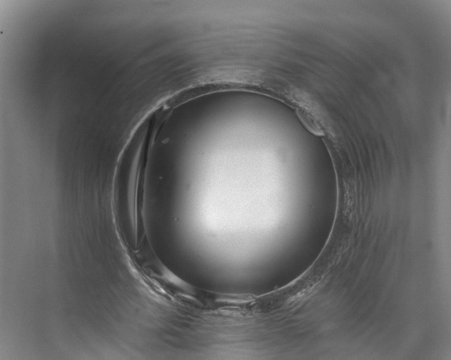 X0000072950580200608041310