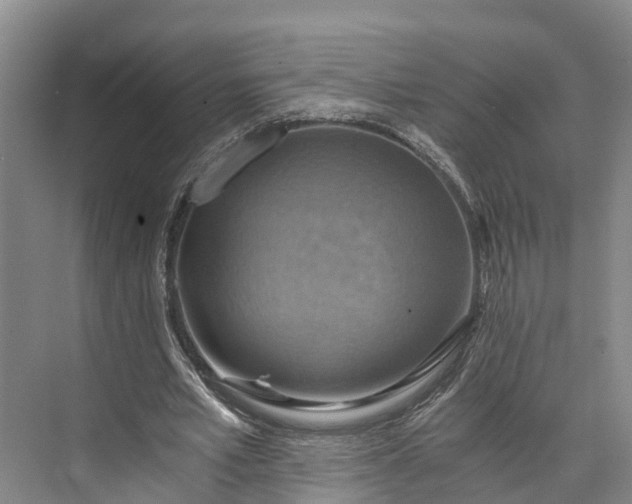 X0000072950581200608041310