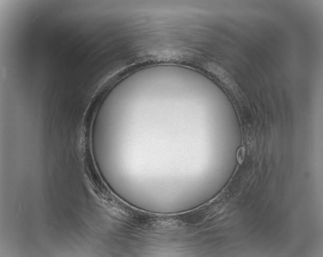 X0000072950583200608041310