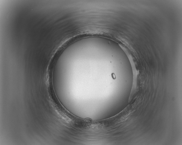 X0000072950584200608041310