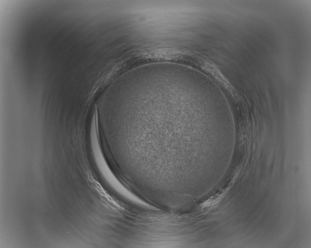 X0000072950585200608041310