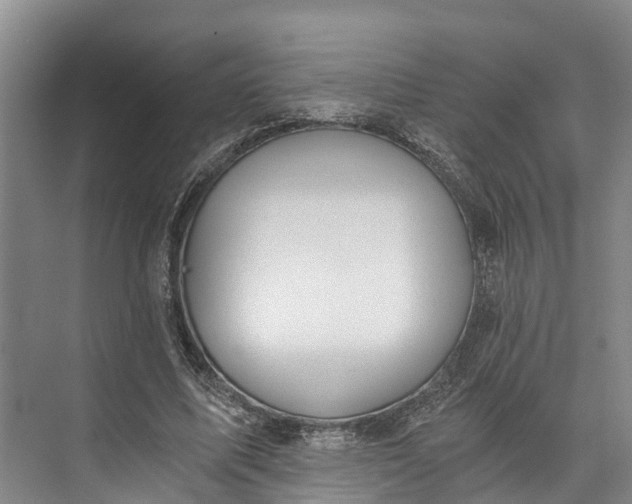 X0000072950587200608041310