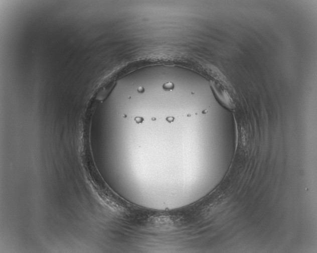 X0000072950588200608041310