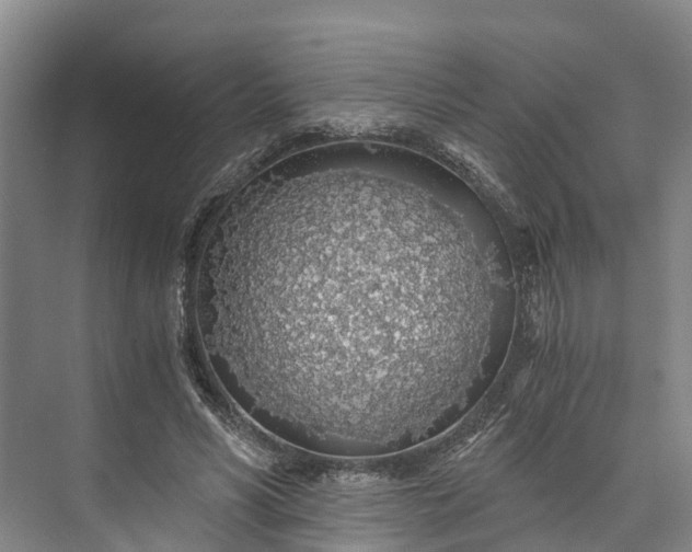 X0000072950590200608041310