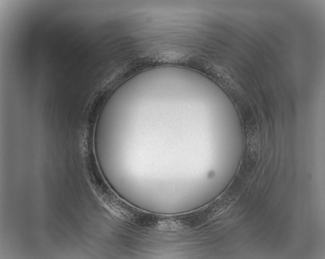 X0000072950591200608041310