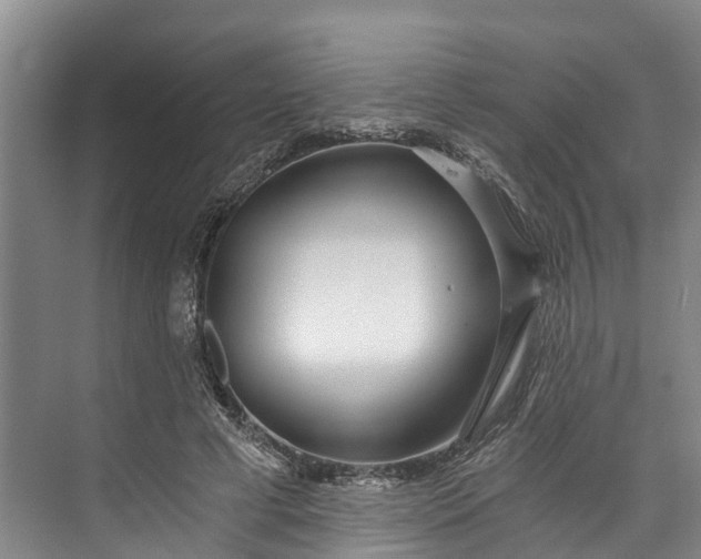 X0000072950593200608041310