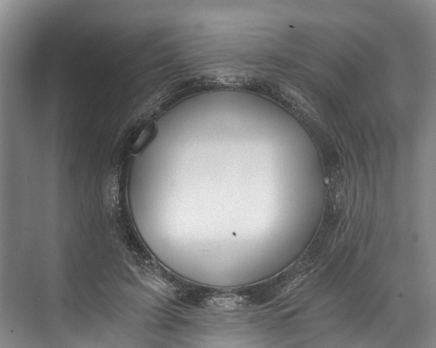 X0000072950595200608041310