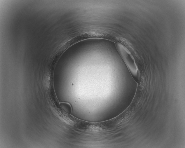 X0000072950596200608041310