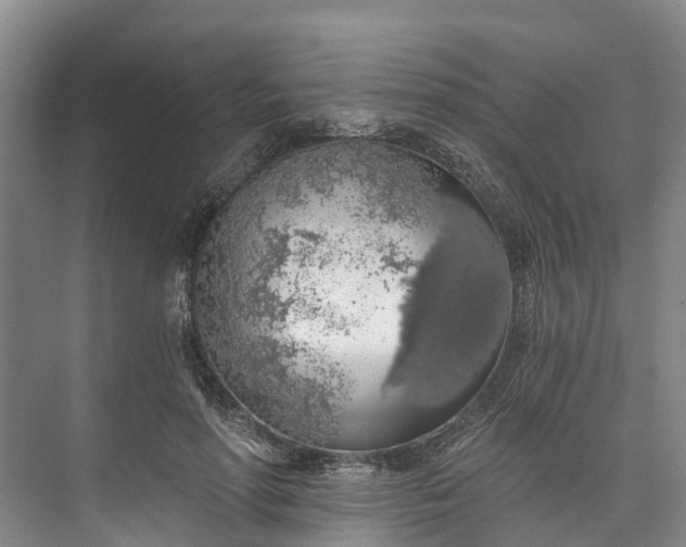 X0000072950598200608041310