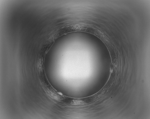 X0000072950605200608041309