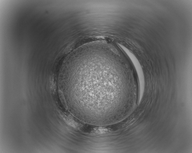 X0000072950607200608041309