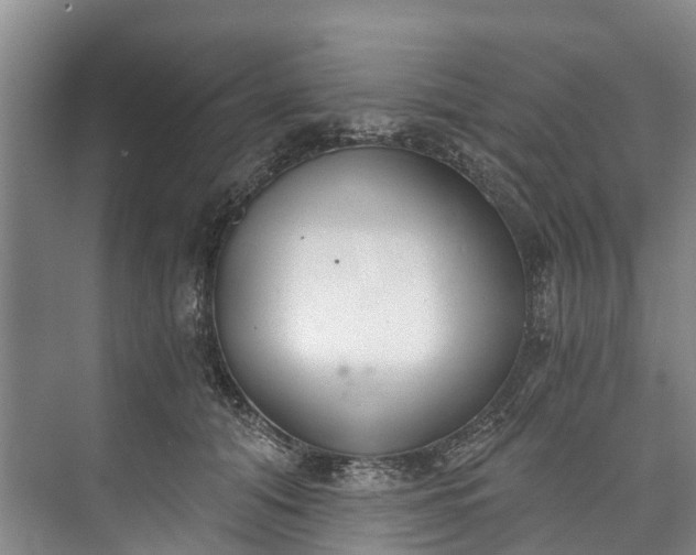 X0000072950608200608041309