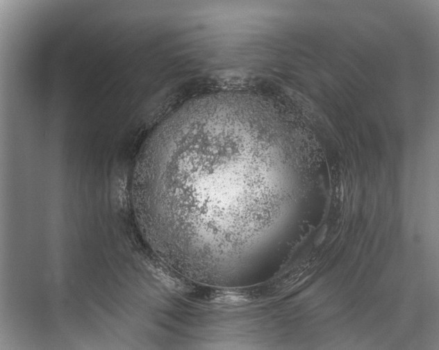 X0000072950610200608041309