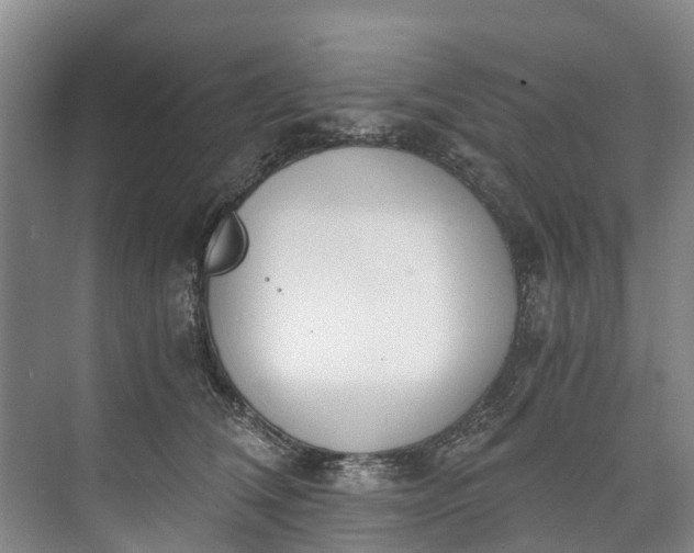 X0000072950612200608041309