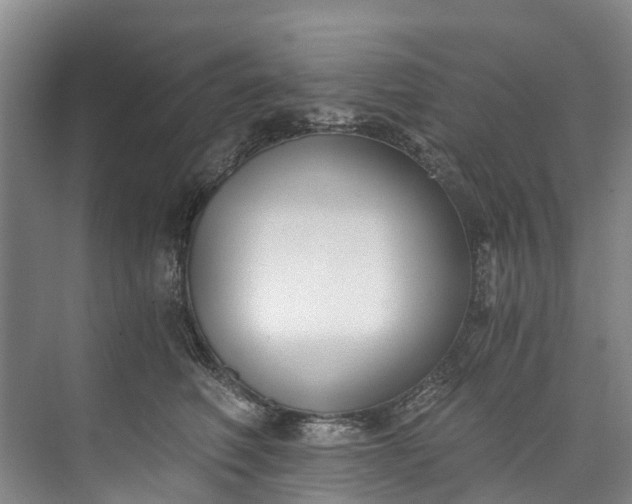 X0000072950614200608041309