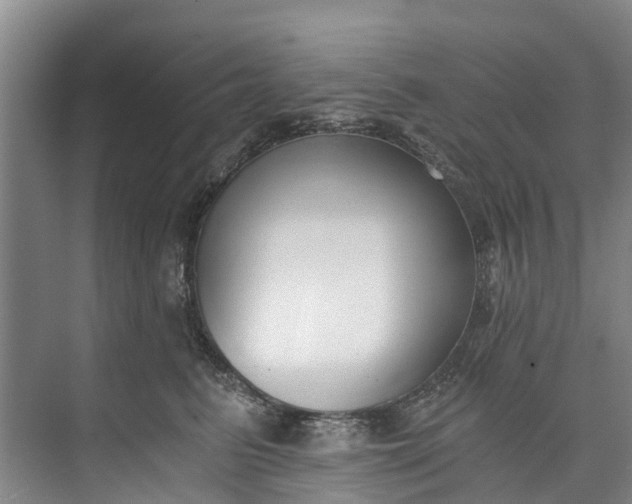 X0000072950615200608041309