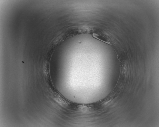 X0000072950616200608041309