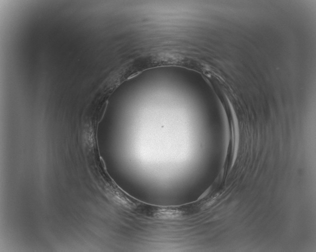 X0000072950617200608041309