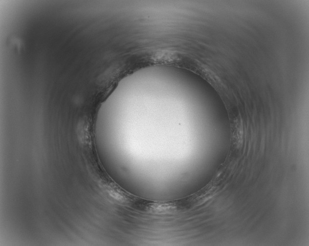 X0000072950619200608041309