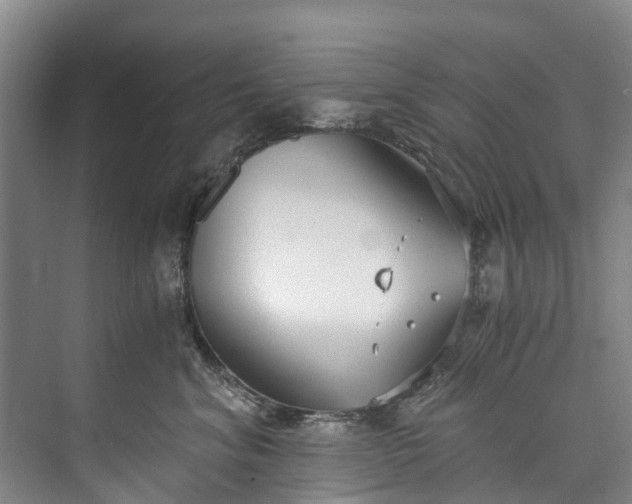 X0000072950620200608041309