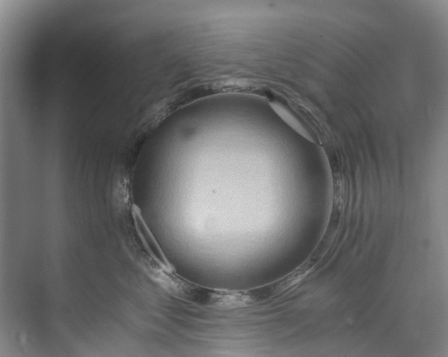 X0000072950621200608041309