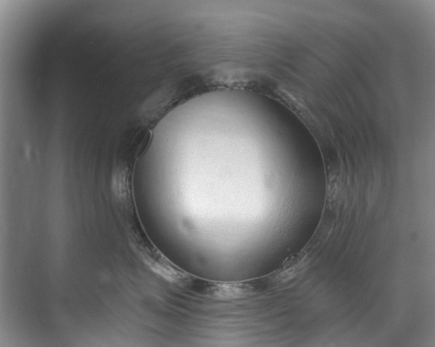 X0000072950623200608041309