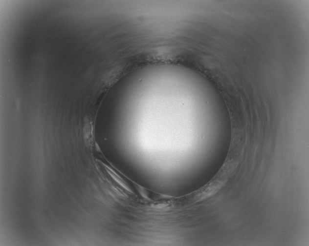 X0000072950624200608041309