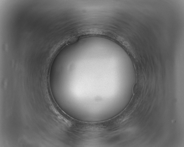 X0000072950625200608041308