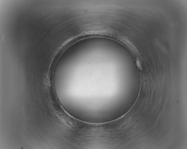 X0000072950628200608041308