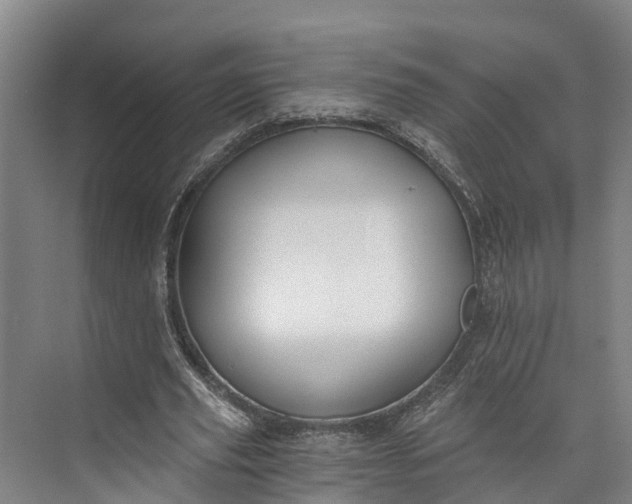 X0000072950629200608041308