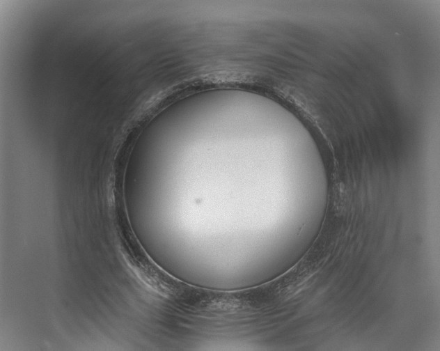 X0000072950631200608041308