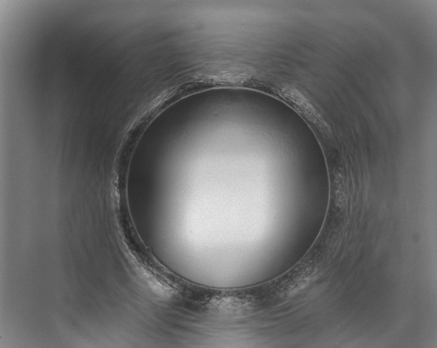 X0000072950634200608041308