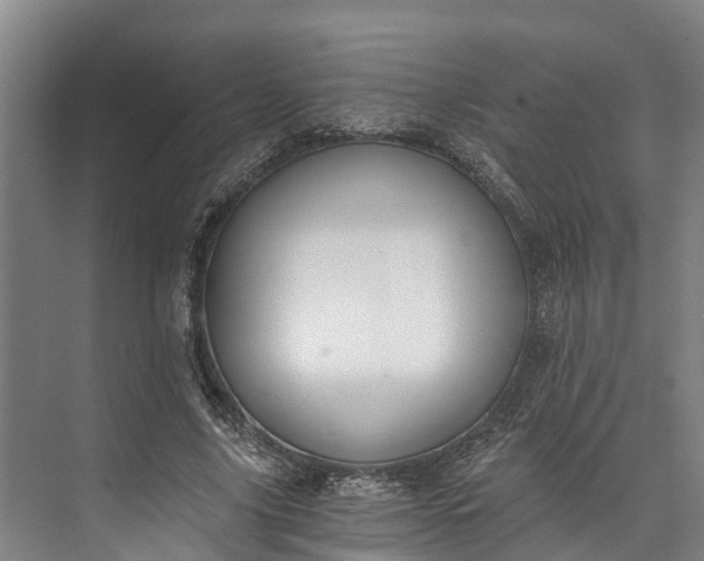 X0000072950635200608041308