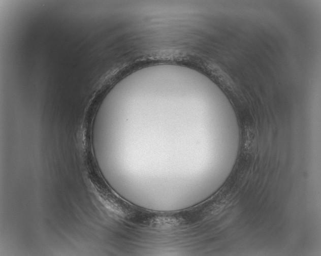 X0000072950636200608041308