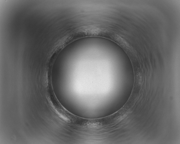 X0000072950638200608041308