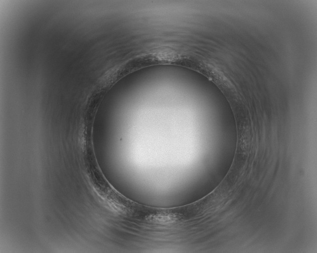 X0000072950639200608041308